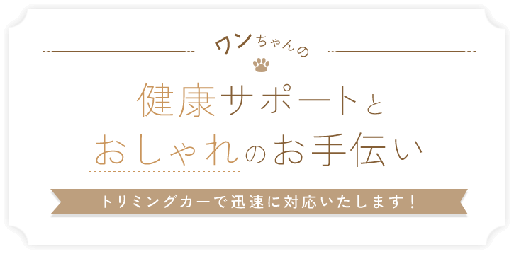 ワンちゃんの健康サポートとおしゃれのお手伝いトリミングカーで迅速に対応いたします！